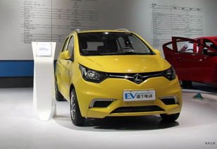 從低速電動車到新能源汽車,雷丁汽車是不是想的太簡單了